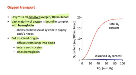 Polygon kles&aacute; o 8,69 % a přeprodan&eacute; podm&iacute;nky omezuj&iacute; potenci&aacute;l odrazu pobl&iacute;ž podpory na 0,0803 $: t&yacute;denn&iacute; zpr&aacute;va