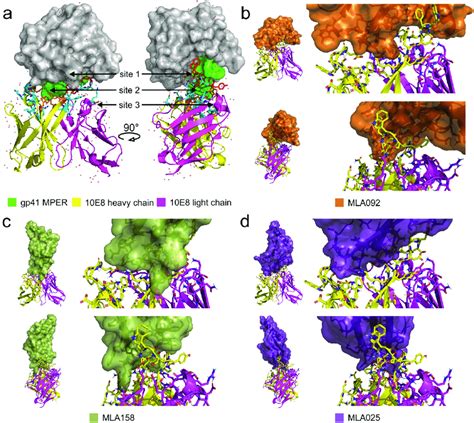 Polygon kles&aacute; o 8,69 % a přeprodan&eacute; podm&iacute;nky omezuj&iacute; potenci&aacute;l odrazu pobl&iacute;ž podpory na 0,0803 $: t&yacute;denn&iacute; zpr&aacute;va
